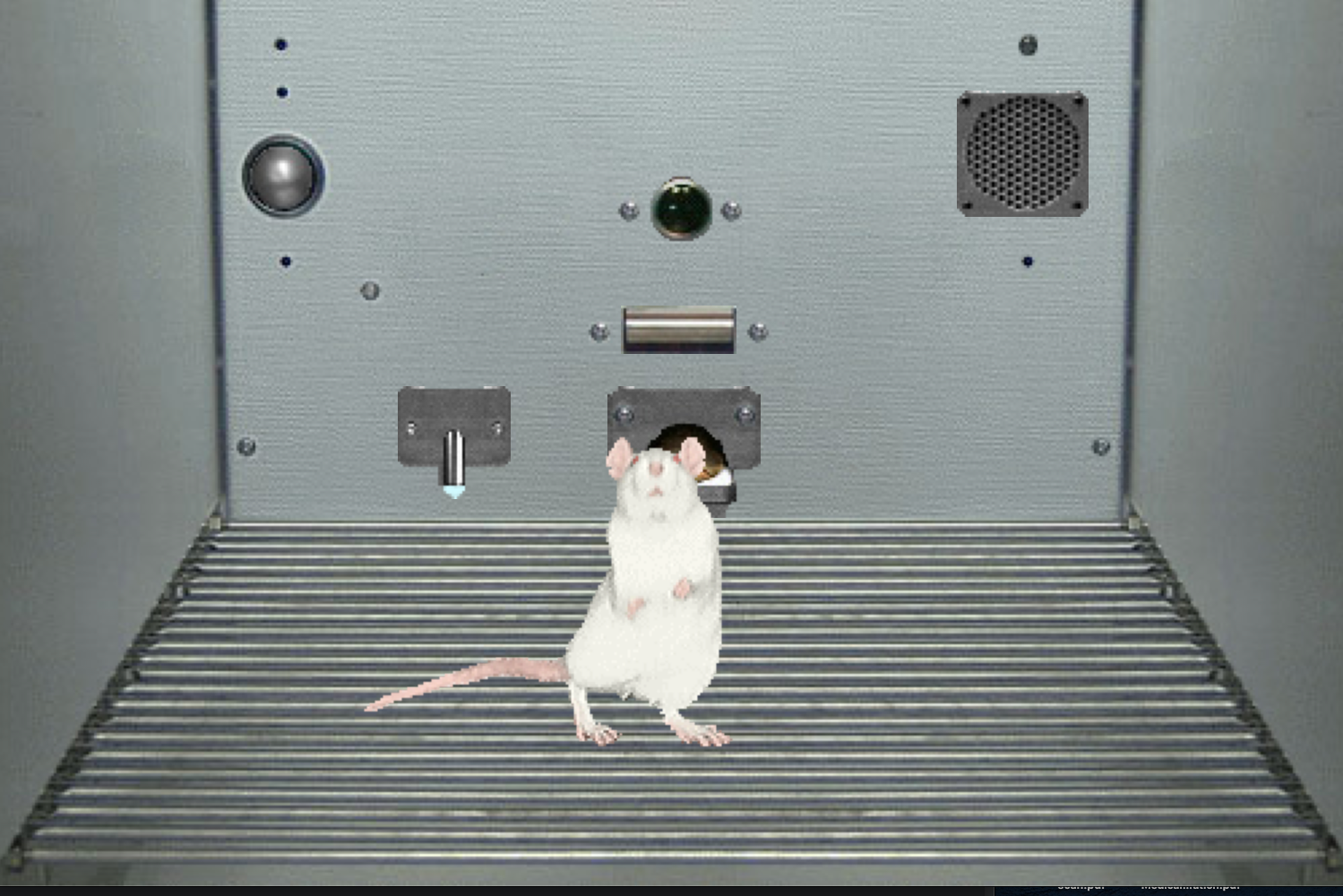 Sniffy the Virtual Rat Pro, Version 3.0 Edition 3 by Tom